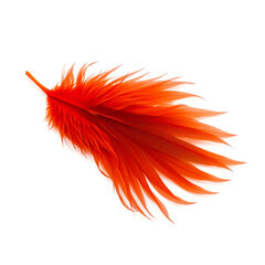 vibrant red phoenix feather with intricate details, isolated on white background, symbolizing rebirth and immortality