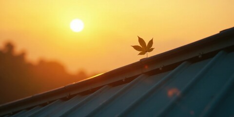 Poster - A lone leaf perched atop a rooftop during a vibrant sunset