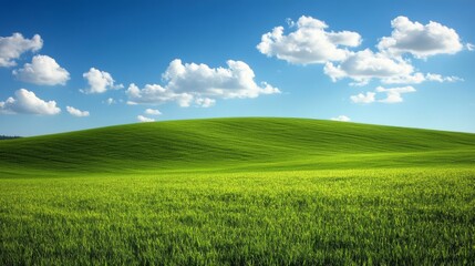 Wall Mural - Rolling Green Hills Under Blue Skies