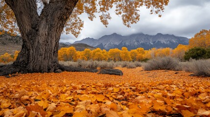 Wall Mural - Autumn Landscape with Golden Foliage