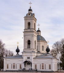 Wall Mural - Cathedral