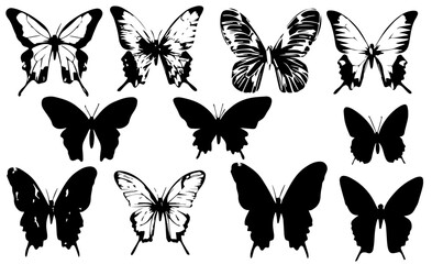 Poster - Set Butterfly Wings. Black butterflies silhouette vector on white background v3.