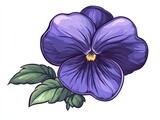 a purple pansy flower with green leaves
