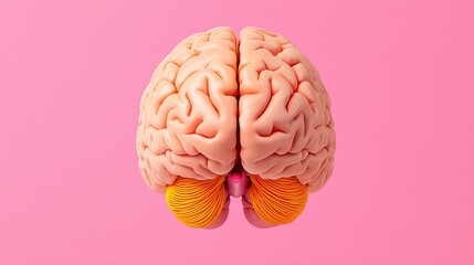 Poster - realistic 3d brain model with bright colors on pink background