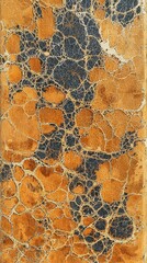 Poster - Contemporary art exhibition digital abstracts urban gallery texture showcase vibrant colors artistic perspective