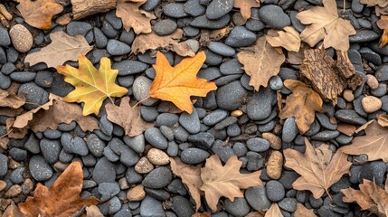 Canvas Print - Autumn Leaves on Grey Stones, Nature Background Texture