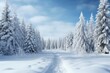 © fatman - A tranquil winter wonderland with a quiet snow-covered path winding through towering evergreens under a clear blue sky on a crisp, bright day
