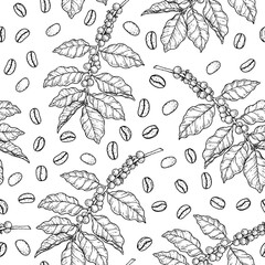 Seamless pattern with coffee bean, coffee tree branches and leaves sketch. Hand drawn vector illustration. Engraved style.