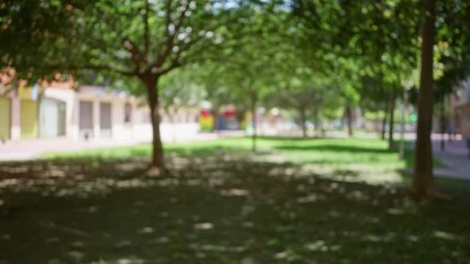 Wall Mural - Defocused view of green park area with blurred trees and buildings in background on a sunny day