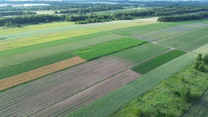 Poster - Golden Hour Farmlands Display Geometric Crop Patterns