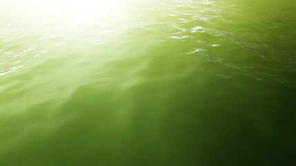 Aufkleber - sunlit green water surface with gentle ripples.