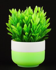 Canvas Print - Lush green plant in a two-toned pot against a black background.