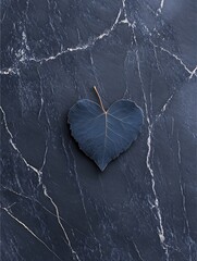 Wall Mural - Single dark blue leaf on dark marble background.