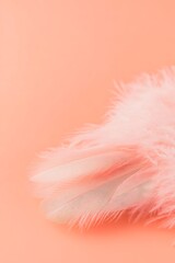 Poster - Soft pink feather on coral background.