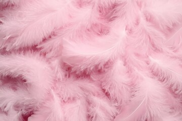 Canvas Print - Soft pink feathers background texture.