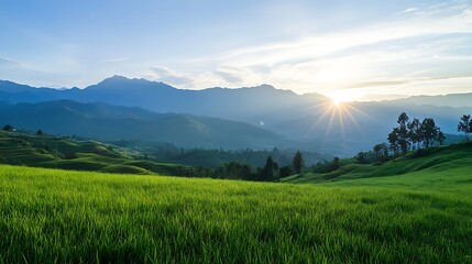 Aufkleber - Serene Sunrise Over Rolling Green Hills and Majestic Mountains Landscape : Generative AI
