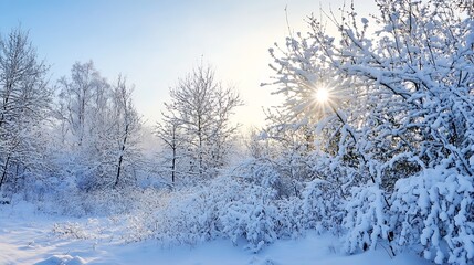 Aufkleber - Magical Winter Wonderland with SnowCovered Trees Glowing Under Bright Sunshine : Generative AI