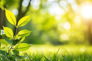 Poster - Bright Leaf in Springtime Morning Sun with Soft Focus on Nature's Beauty : Generative AI