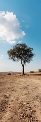Poster - Lone Tree in Arid Desert Landscape Under Clear Blue Sky : Generative AI