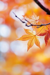Poster - closeup of three vibrant autumn leaves against a blurred background : generative ai