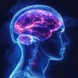 © btiger - Neon Illuminated Human Brain and Skull with Neural Connections