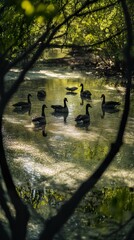 Canvas Print - Geese on a Calm River in Springtime