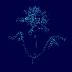 Poster - Blue drawing of a plant with a stem and leaves. The drawing is of a plant that is not fully grown, and it has a sad and lonely feeling to it