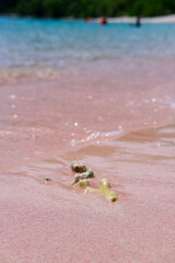 Wall Mural - Pink Beach in the summer, famous for its unique pink sand and clear water, surrounded by breathtaking landscapes and vibrant marine life, Komodo National Park, Indonesia