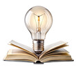 © Jahan Mirovi - An illuminated light bulb rises from an open book symbolizing the connection between creativity and knowledge in a compelling artistic display