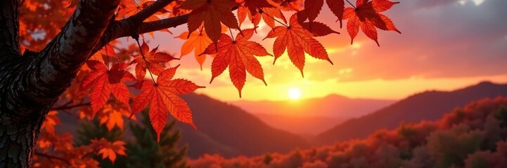 warmly lit maple tree branches against the backdrop of a sunset, landscape, light