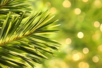 Poster - A close-up of vibrant green pine needles against a blurred, sparkling background, evoking a fresh and festive atmosphere