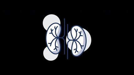 Poster - A stylized illustration of kidneys in a flat design with a dark background.
