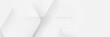 © pickup - Minimal White Abstract Hexagonal Background