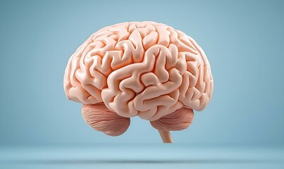 Poster - Cognitive Landscape, an intricate illustration showcasing the human brain's complexity, highlighting neural connections and cognitive functions.
