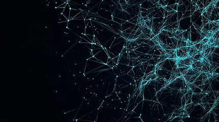 Poster - Network Connections Overview, a detailed diagram illustrating interconnected systems and their interactions, showcasing data flow and relationships.