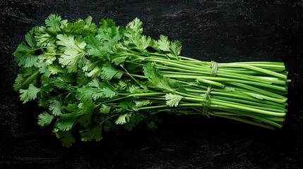 Sticker - Vibrant Bunch of Fresh Cilantro on Dark Background