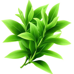 Wall Mural - fresh green leaves on white isolate background.