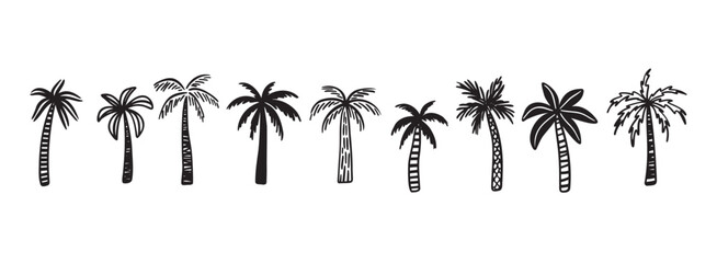 Wall Mural - palm tree tropical nature, vegetation doodle hand drawn icon set. outline drawing palm tree tropical