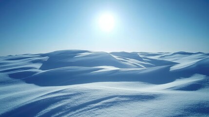 Wall Mural - Snow drifts sculpted by the wind, their edges sharp and glistening under bright sunlight, with a vast cloudless sky above