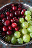 Fresh cranberries and gooseberries displayed in a metal colander, showcasing their vibrant colors and glossy textures, ideal for natural food photography.
