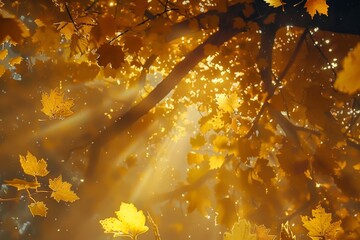 Aufkleber - A sunbeam pierces through a canopy of golden leaves, illuminating the forest with a warm glow, Sunlight filtering through a canopy of golden leaves