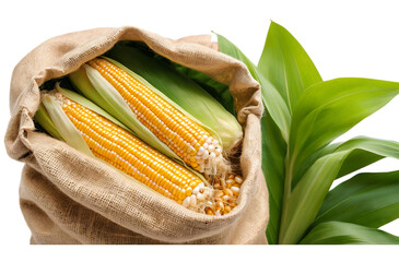 Wall Mural - Bag full corn with leaf on table