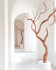 Poster - Minimalist Elegance in a Serene Studio Exploration With Unique Tree Sculptures