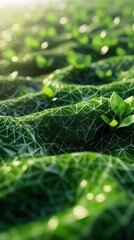 Poster - Growing plants, digital field, sunrise, network, sustainability