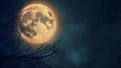 Wall Mural - halloween background with big moon on sky with copy space
