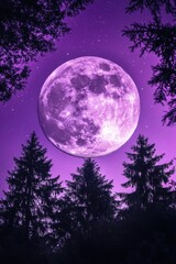 Wall Mural - full moon in night sky with trees