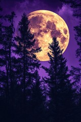 Wall Mural - full moon in purple sky