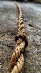 Aufkleber - Iron Nail and Coarse Rope on a Rustic Surface Showcase Simple Textures