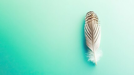 Poster - Drifting Softly, a White Feather Captures the Essence of Tranquility Against a Blue Canvas