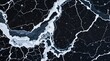 © BONDET LUCKY - black and white veined granite marble, emphasizing natural patterns and texture